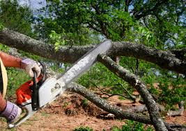 Best Aeration Services  in Lodi, CA
